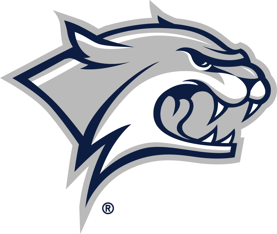 New Hampshire Wildcats 2019-Pres Primary Logo iron on transfers for clothing